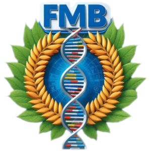 FMB
